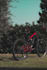 graphic designer and photographer