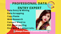 do perfect data entry web research and file conversion