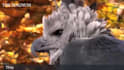 perfectly add captions to your videos in less than 24 hours