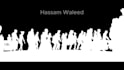 do expert rotoscoping, keying services, vfx like hollywood