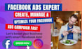 manage and optimize facebook and instagram ad campaigns