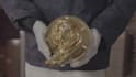 do flawless clean up , wire removal ,vfx paint