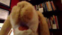 sing happy birthday with my rabbit puppet