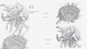 draw botanical and anatomical scientific illustrations