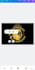 design a premium golden royal emblem logo lion and laxur