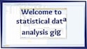 do professional data analysis using spss and excel