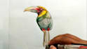 watercolor style pet birds and animals hand drawing