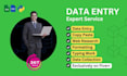 data entry expert services