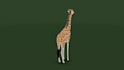 create 3d low poly animal character model