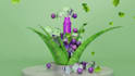 eye catching 3d animation for food, beauty and electronics