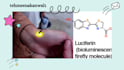 draw chemistry structure, formula, equation, and mechanism