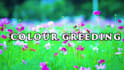 do faceless youtube video editor