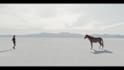 professionally color grade your videos