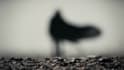 compose original music for films and video games