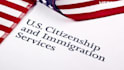 draft eb2 niw, e2, l1 US visas business plan according uscis