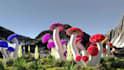 render 3d  flower model, 3d flower animation, 3d plant animation, 3d growing