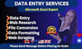 do professional excel data entry, copy paste, typing job in low price