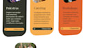create your website in less than 14 days