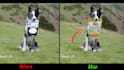 replace, object remove, wire removal and cleanup vfx
