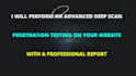 professionally conduct penetration testing for any type of website