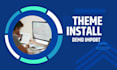 professionally install and customize wordpress theme, including demo import