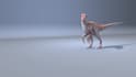 make animation  of all kind