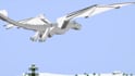 edit your minecraft video in a fun way