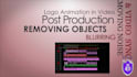 do professional video editing