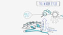 create a whiteboard animation explainer video