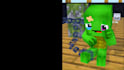make custom minecraft animation for you