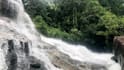 send natural place video and images