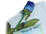 professional design of german print materials