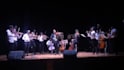 do violin lessons for you