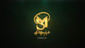 professional photography and videography logo intro outro