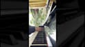 create a custom piano midi melody chords full arrangement