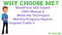 do monthly wordpress SEO service for google ranking