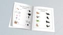 craft captivating a plus content for amazon KDP, other sites, or personal book
