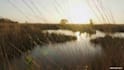 create cinematic video edit with stock footage