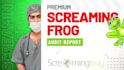 provide premium screaming frog seo spider website audit report