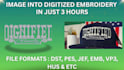 digitize your logo for 3d puff embroidery
