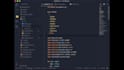 setup any ide including vs code, intellij, claude, codex