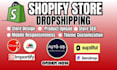 redesign shopify website design shopify dropshipping store ecommerce website seo