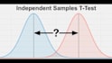 do your quantitative data analysis using spss pspp