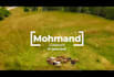 do logo  animation for you