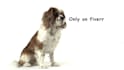 make beautiful logo reveal with dog