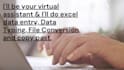 do data scraping, fastest data entry in low price