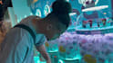 edit your tik tok videos