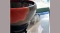 create funny cats video compilation for youtube