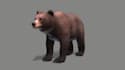 3d animal model, animal animation, 3d fur, 3d animal rigging