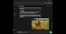 create ai chat bots